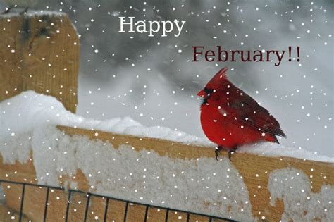 Happy February Pictures, Photos, and Images for Facebook, Tumblr ...