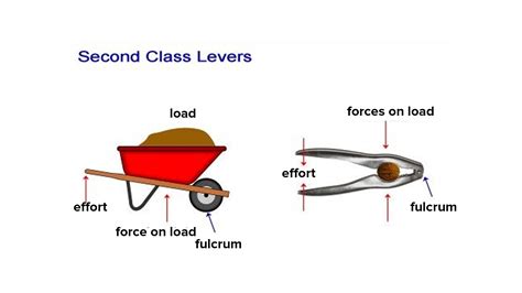 State the characteristics of class II lever and give two examples.