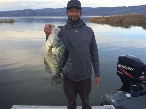 ‘Giant crappie’ could break a 46-year-old record