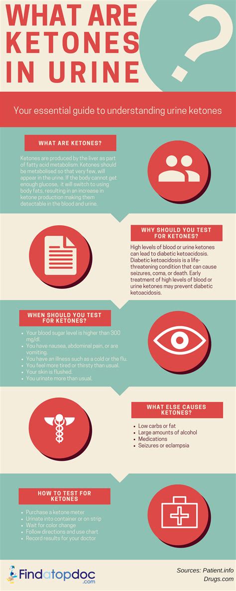 [Infographic] What are Ketones in Urine: Causes and How to Test Ketones