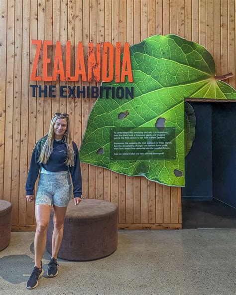 15 Things to KNOW Before Visiting Zealandia Ecosanctuary, Wellington