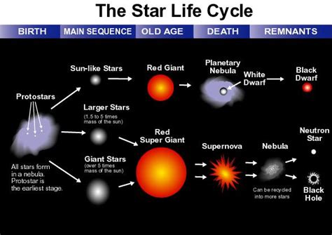 Star life cycle, Life cycles, Star science