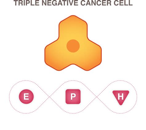 Potential Treatment for Triple-Negative Breast Cancer | Drug Discovery ...