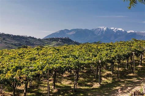 How And Why The Abruzzo Wine Region Of Italy Is Moving From A Low Cost ...