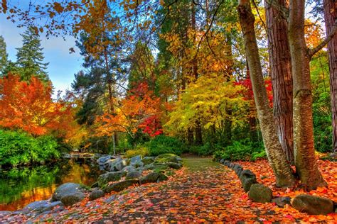 Download Tree Pond Path Fall Photography Park 4k Ultra HD Wallpaper