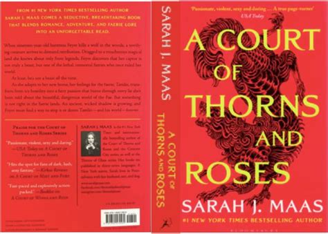 A court of thorns and roses Sarah J Mass full book cover. | Mini books ...