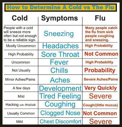 What Is The Difference Between A Head Cold And A Sinus Infection ...