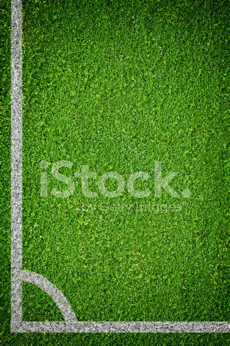 Natural Green Grass Soccer Field Stock Photos - FreeImages.com