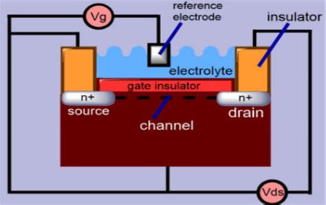 Ion Sensitive Field-Effect Transistor - ISFET Working Principle