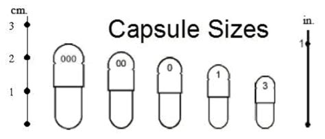 Capsule Sizes | Capsule, Empty capsules, Info