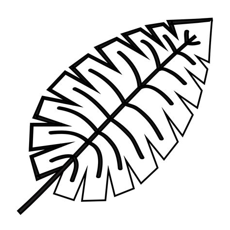 Leaf outline illustration, PNG with transparent background. 11911150 PNG