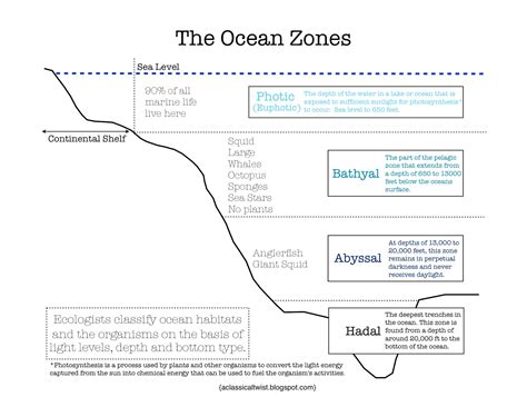 Diagram Of Ocean Zones Printable