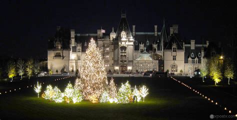 🔥 Download Biltmore Estate Christmas Tree by @christopherjones ...