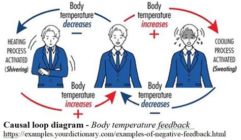 Systems Thinking