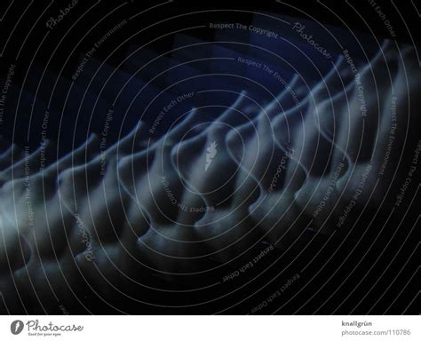 sense organ Senses - a Royalty Free Stock Photo from Photocase