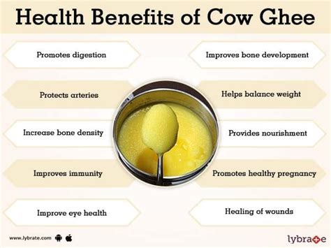 Benefits Of Cow Ghee In Nose - All About Cow Photos