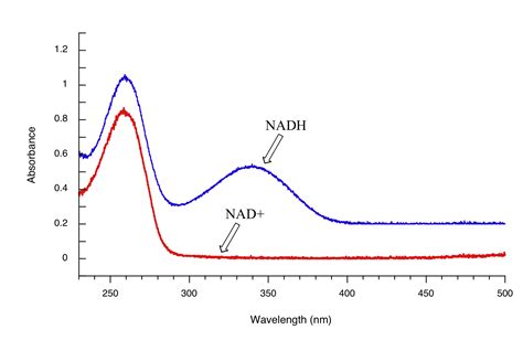 A to Z of UV-Vis spectroscopy interpretation - analyzetest.com