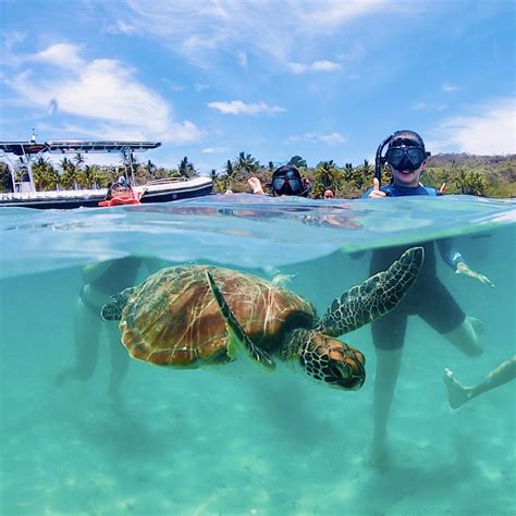 Great Keppel Island Hopping (5-IN-1) Adventure Tour: Islands, Beaches ...