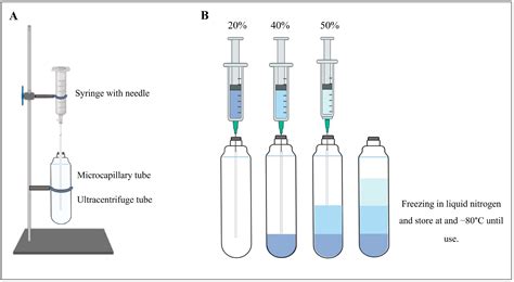 Sucrose Density Gradient