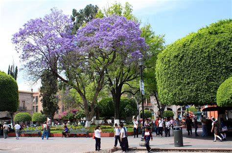 The City of Querétaro, a colonial treasure - Bestmex Blog