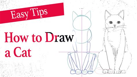 How To Draw a Cat (2) Body and Pose | MediBang Paint - the free digital ...