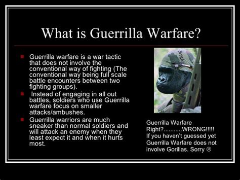 Guerrilla Warfare David Salk