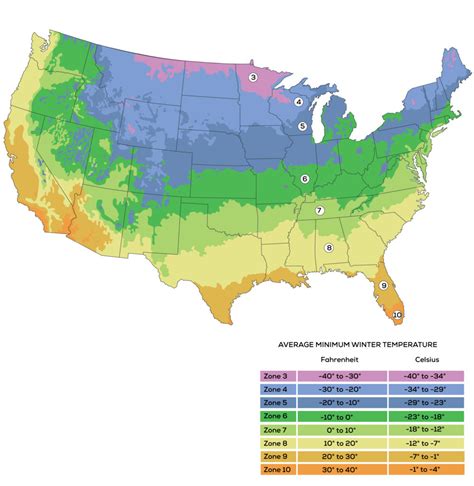 April Vegetable Garden Planting Zone-by-Zone -- Harvest to Table