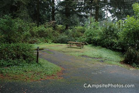 Harris Beach State Park - Campsite Photos, Camping Info & Reservations