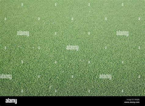 Artificial turf on a football field Stock Photo - Alamy