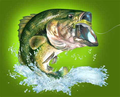 26 best largemouth bass images on Pinterest | Fishing, Fish drawings ...