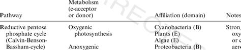 Carbon fixation pathways and the metabolisms involved | Download ...