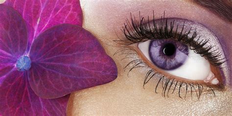 Alexandria’s Genesis Unveiled: Debunking the Myth of Violet Eyes | by ...