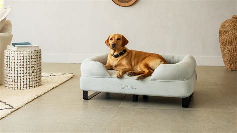 Memory Foam Bolster Dog Beds | Omlet