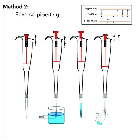 How To Use A Micropipette