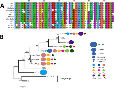 Sequence alignment and phylogenetic tree of aminergic toxins. (A ...