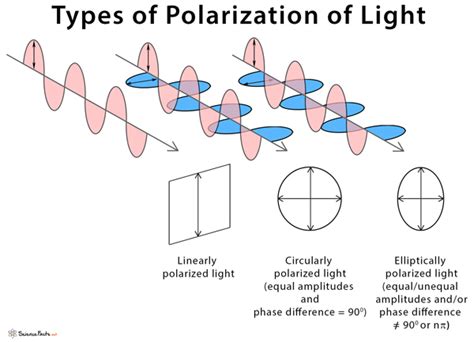 Polarization of Light: Definition, Diagram, and Applications