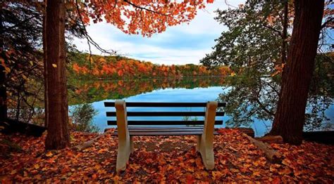 bench, autumn, river Wallpaper, HD Nature 4K Wallpapers, Images and ...