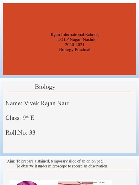 Ryan International School | PDF