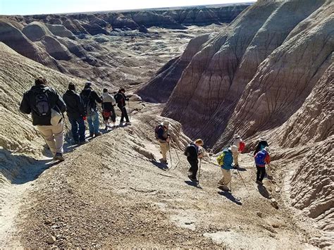 Petrified Forest National Park needs you! | Friends of Petrified Forest ...