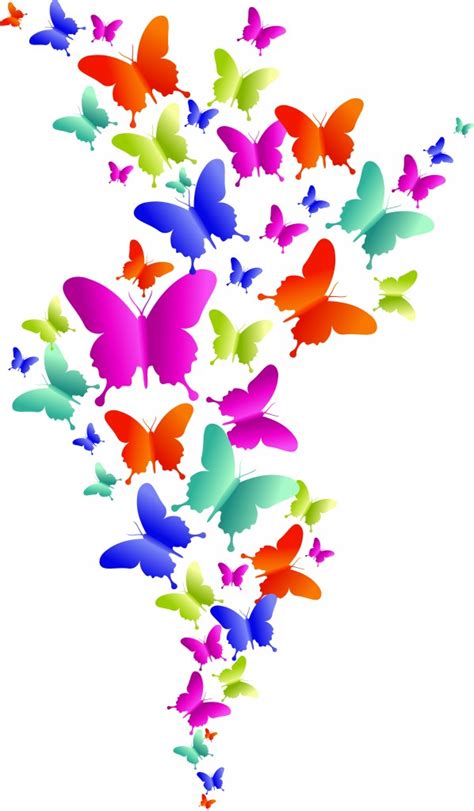 flower colorful butterfly border design - Clip Art Library