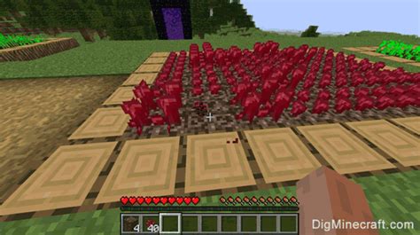 How to Make a Nether Wart Farm in Minecraft