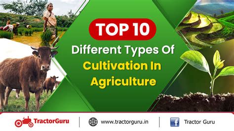 Top 10 Different Types Of Cultivation In Agriculture (2023)