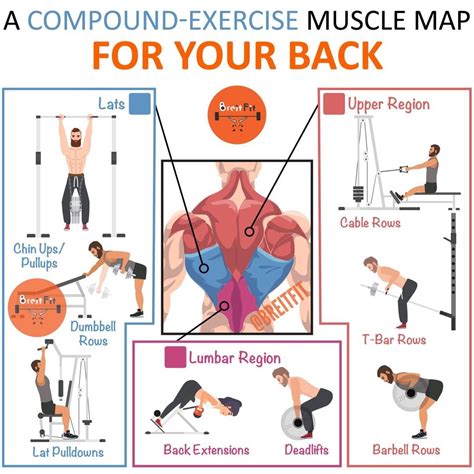 The Best Five Moves To Build A Stronger Broader Upper Back With Crazy ...