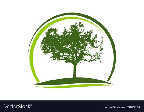 Oak tree logo design template Royalty Free Vector Image