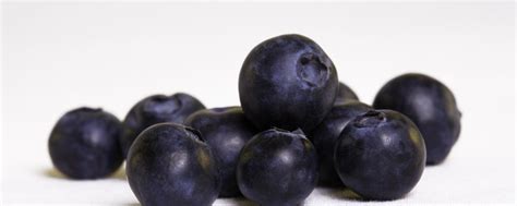 Northern Highbush Blueberry Varieties - BlueberryExpert.com