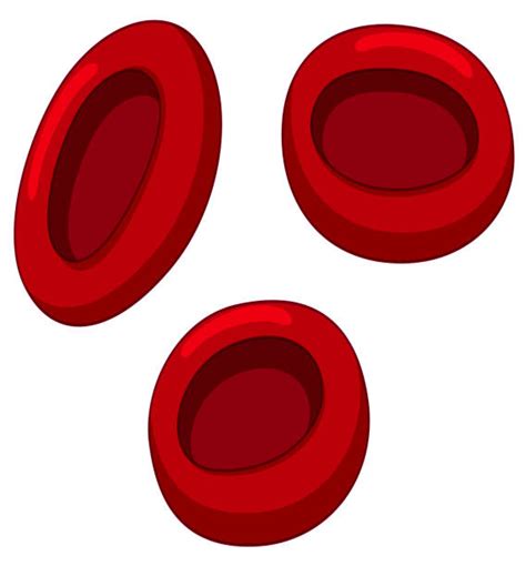 Clip Art Of A Red Blood Cells Illustrations, Royalty-Free Vector ...