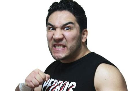 Shifting The Spotlight: Perro Aguayo Jr. - Cageside Seats