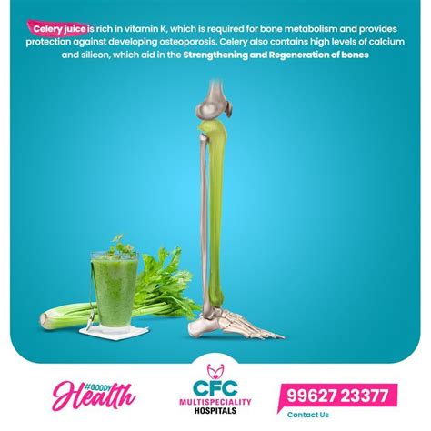 Celery juice is rich in vitamin K | Celery juice, Vitamin k, Osteoporosis