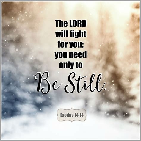 Exodus 14:14 | Prayers for strength, Spiritual words, Bible quotes