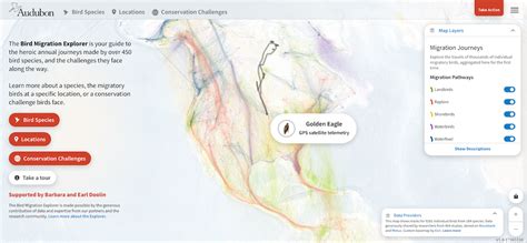 Use the Bird Migration Explorer to Track Hundreds of Bird Journeys ...